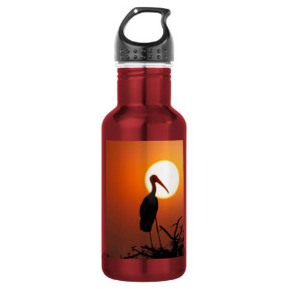Vreedzame Zonsondergang Ooievaar Vogel Silhouet Na Waterfles