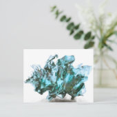 Vreemd buitenaards leven briefkaart (Staand voorkant)