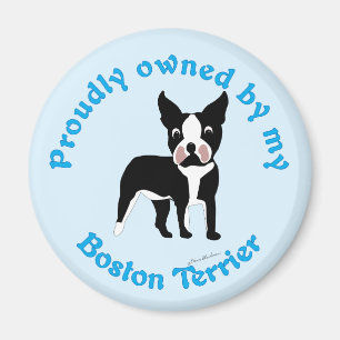 Vreemd eigendom van een Boston Terrier Magneet