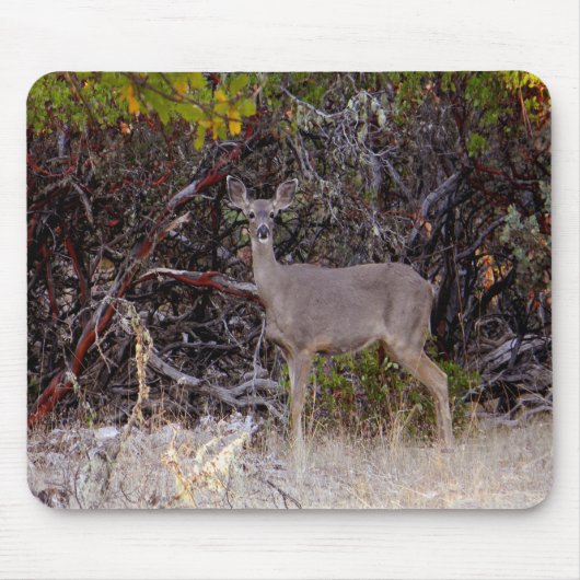 Vreemd.... Muismat (Voorkant)