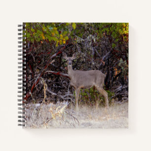 Vreemd... Notitieboek