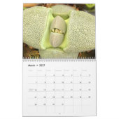 Vreemd prachtige vetplanken kalender (Mar 2027)