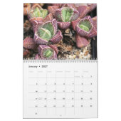 Vreemd prachtige vetplanken kalender (Jan 2027)