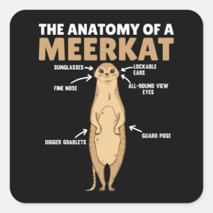 Vreemde uitleg van de anatomie van een Meerkat Vierkante Sticker