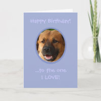 Vreemde verjaardag van Dog tot eigenaar van Love