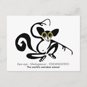 Vreemde wilde dieren - Graphic AYE-AYE - lemur- pr Briefkaart