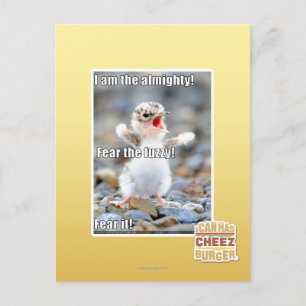 Vrees de Fuzzy! Briefkaart