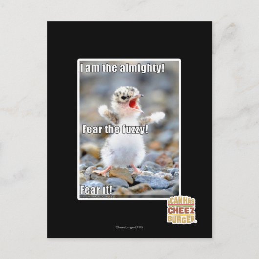 Vrees de Fuzzy! Briefkaart (Voorkant)