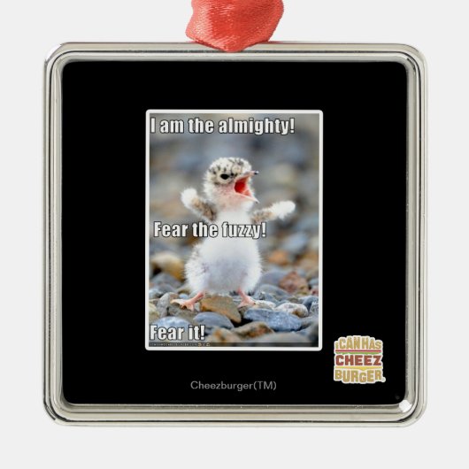 Vrees de Fuzzy! Metalen Ornament (Voorkant)