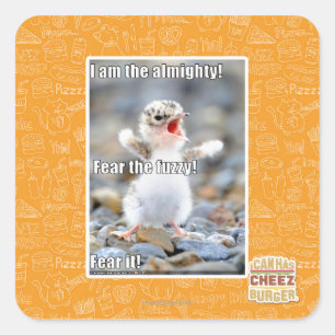 Vrees de Fuzzy! Vierkante Sticker
