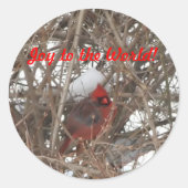 Vreugde aan de World Red Male Kardinaal Stickers (Voorkant)