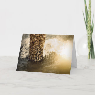 Vreugde! Het grote storm is over! Kaart