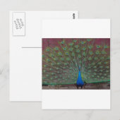 vreugdevolle pauw briefkaart (Voorkant / Achterkant)