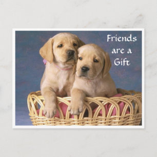 Vriend Labrador Retriever Puppy Groet Ansichtkaart Briefkaart