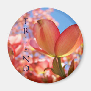 Vriend magneet Natuur Roze Dogwood Bloemen Bomen