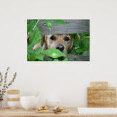 vriend poster (Keuken)