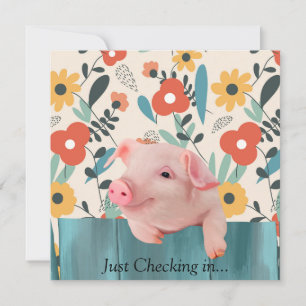 Vriendelijk Baby varken   Schattig baby dier