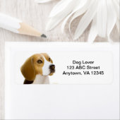 Vriendelijke Beagle Dog  Etiket (Insitu)