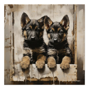 Vriendelijke Duitse Herder Puppy Honden 002 - Raim Perfect Poster