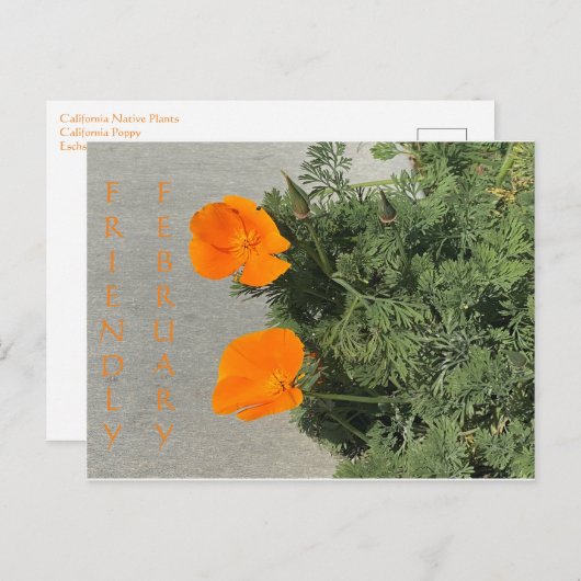 Vriendelijke februari! Briefkaart (Voorkant / Achterkant)