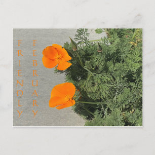 Vriendelijke februari! Briefkaart