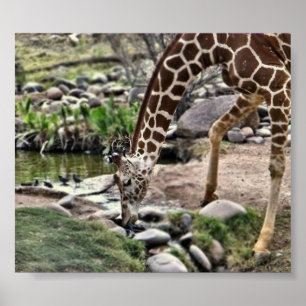 Vriendelijke Giraffe print