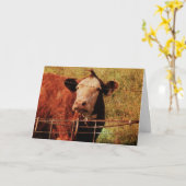 Vriendelijke Koe, Vaderdag Kaart (Gele Bloem)