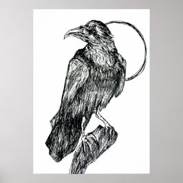 Vriendelijke Kraai Poster