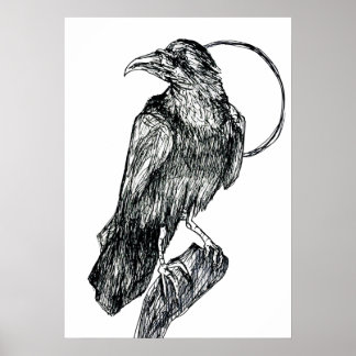 Vriendelijke Kraai Poster