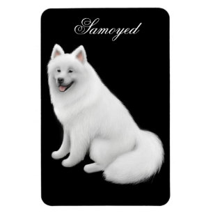 Vriendelijke Samoyed Hond Premium Magnet Magneet