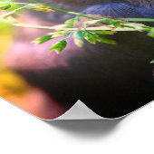 Vriendelijkheid Quote Baby Vogel Inspirerend Poster (Hoek)