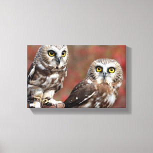 Vrienden Canvas Afdruk