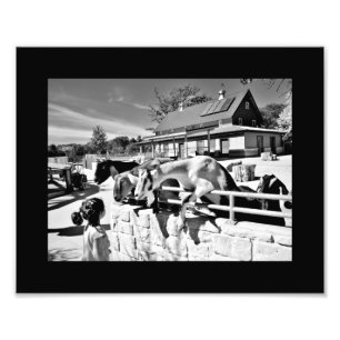 Vrienden Foto Afdruk