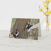 Vrienden Kaart (Gele Bloem)