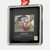 Vrienden Metalen Ornament (Links)