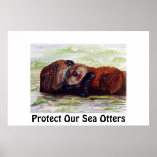 Vrienden van het Zee Otter-Poster Poster