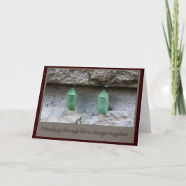 Vrienden Vlindercocons Kaart