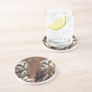 Vrienden Zandsteen Onderzetter