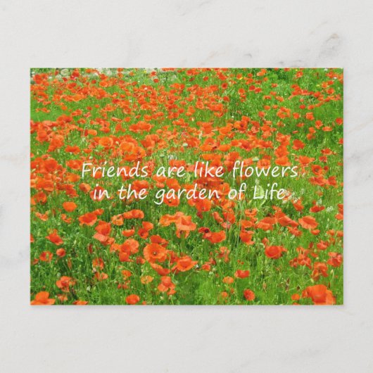 Vrienden zijn als bloemen briefkaart (Voorkant)