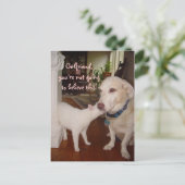 Vriendin, je zult het niet geloven! briefkaart (Staand voorkant)