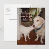 Vriendin, je zult het niet geloven! briefkaart (Voorkant / Achterkant)