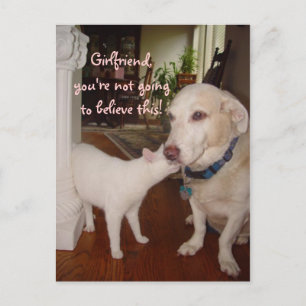 Vriendin, je zult het niet geloven! briefkaart