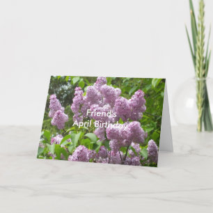 Vriend's April Verjaardag Mooie Lilacs Kaart