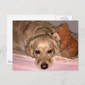 vriendschap briefkaart (Voorkant / Achterkant)