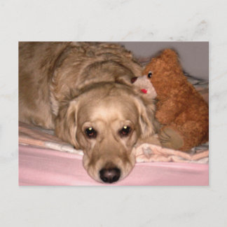 vriendschap briefkaart