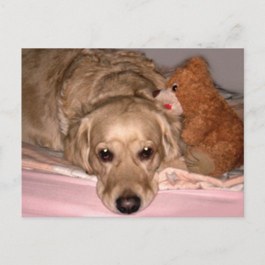 vriendschap briefkaart (Voorkant)