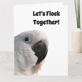 Vriendschap Dag Kaketoe Flock Samen Grappig Foto Kaart