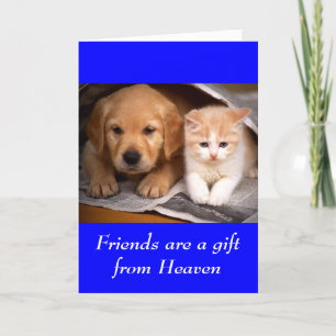 Vriendschap Golden Retriever Puppy & Kitten Kaart