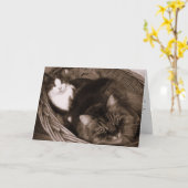 Vriendschap Kaart (Gele Bloem)