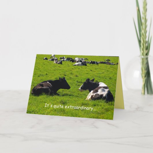 Vriendschap, landschap, boerderij scène, grappig,  kaart (Voorkant)